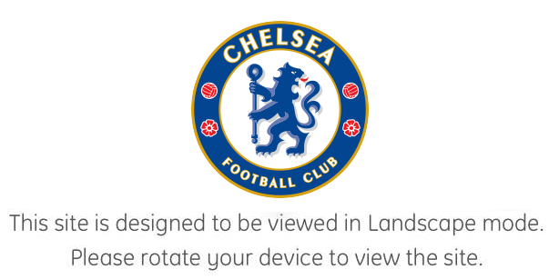 Landscape is the valid orientation